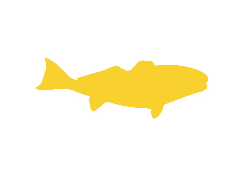 Fishing Galveston TX Logo